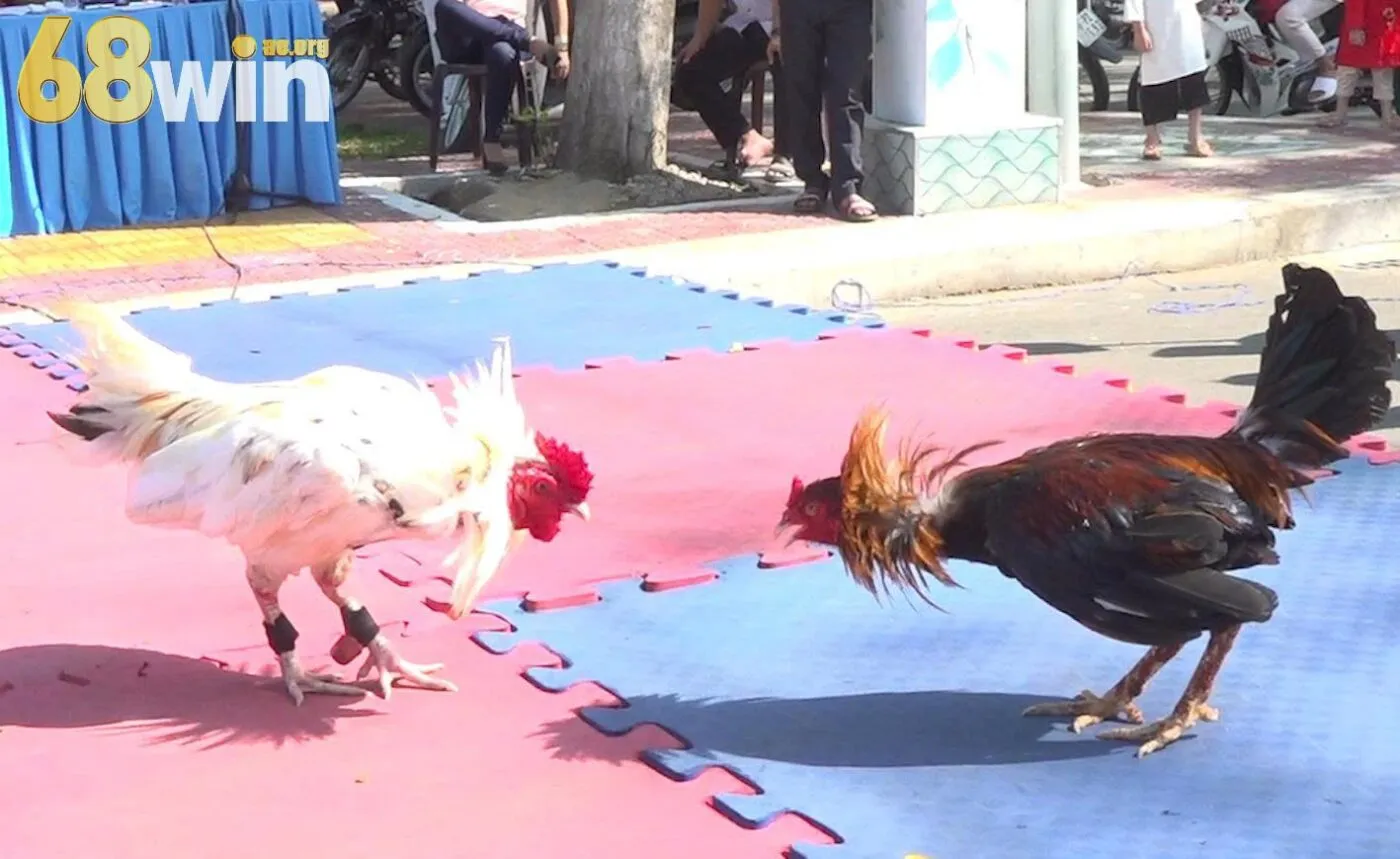 Các bước tham gia đơn giản