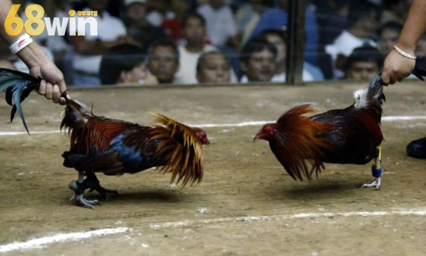 Bảo mật tuyệt đối cho người chơi